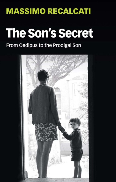 Cover image for book The Son's Secret