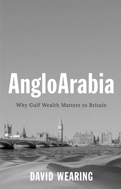 Cover image for book AngloArabia