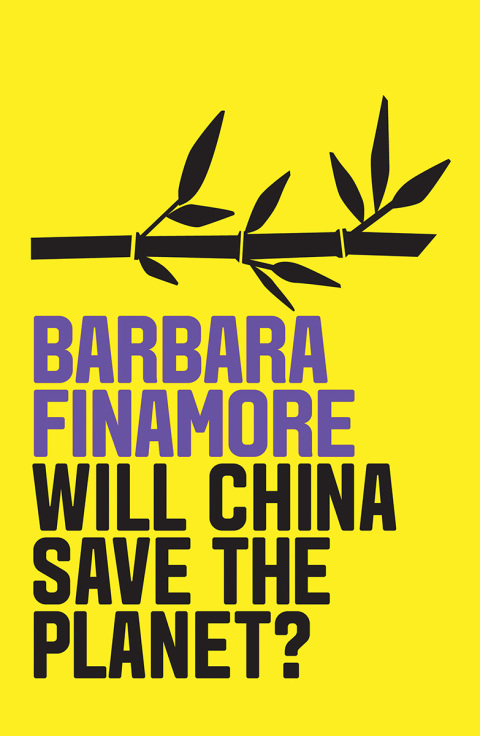 Cover image for book Will China Save the Planet?