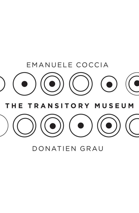 Cover image for book The Transitory Museum