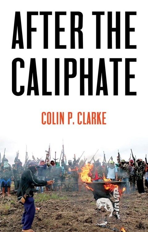 Cover image for book After the Caliphate