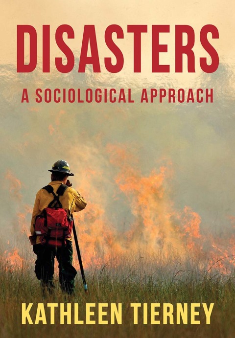 Cover image for book Disasters