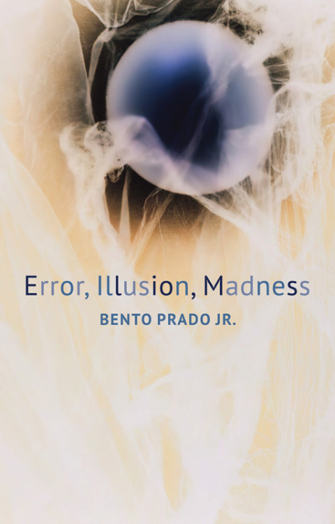 Cover image for book Error, Illusion, Madness