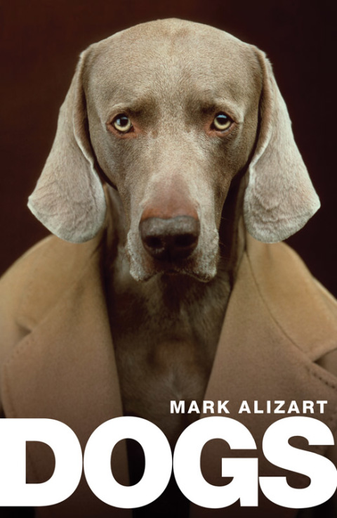Cover image for book Dogs