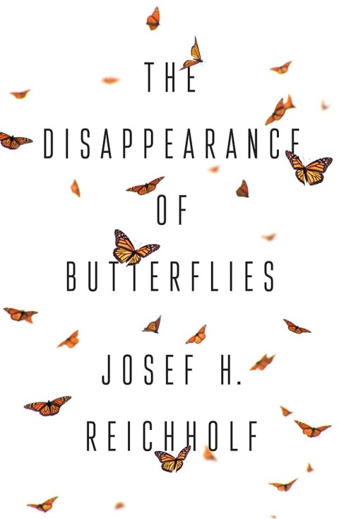 Cover image for book The Disappearance of Butterflies
