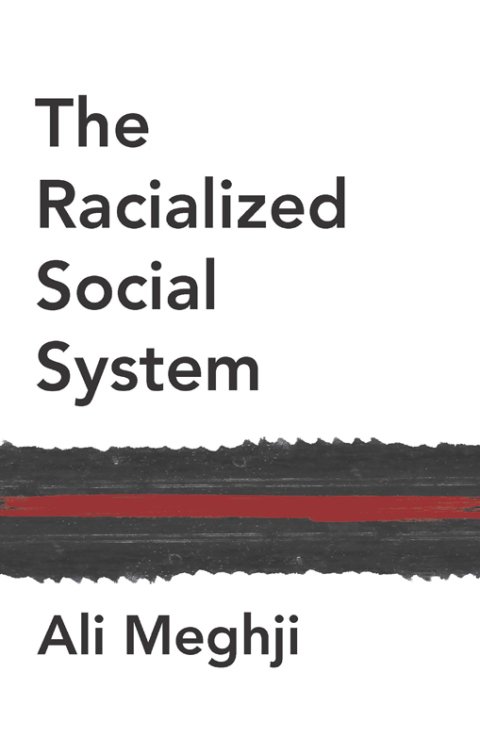 Cover image for book The Racialized Social System