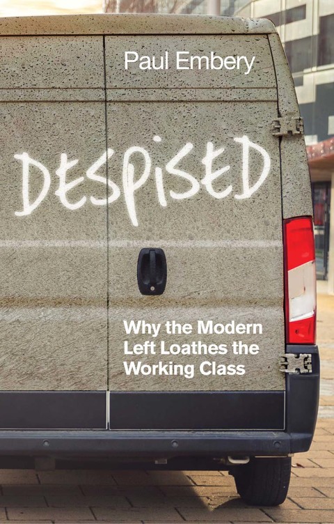 Cover image for book Despised