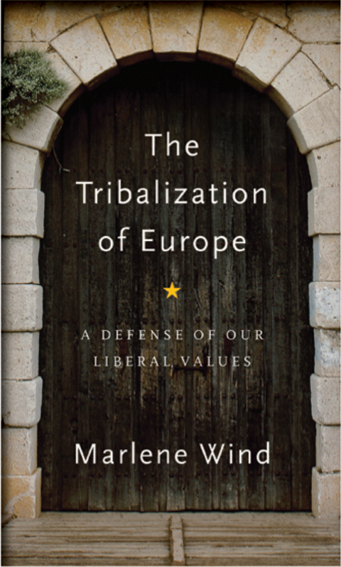 Cover image for book The Tribalization of Europe
