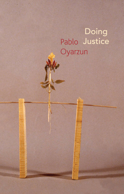 Cover image for book Doing Justice