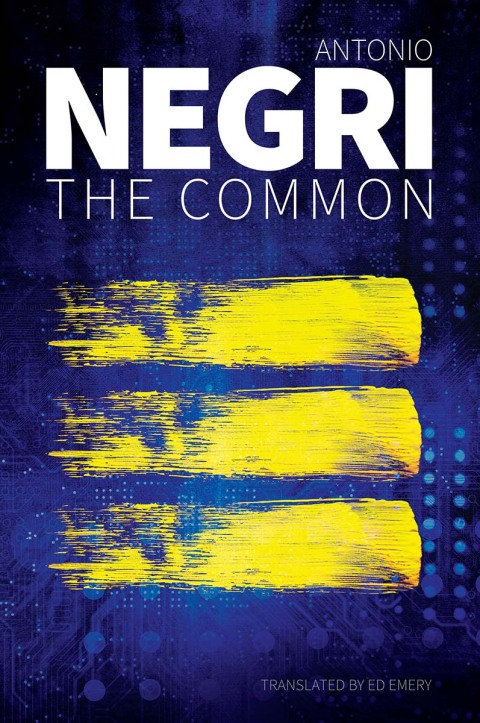 Cover image for book The Common