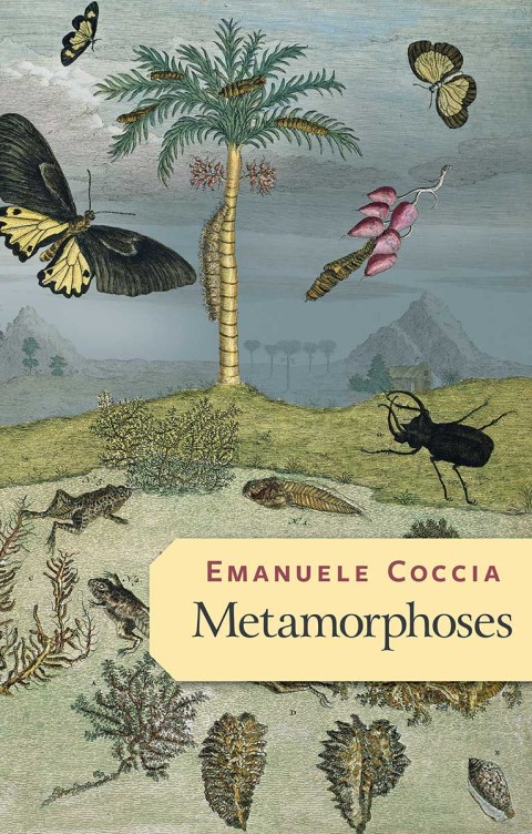 Metamorphoses 