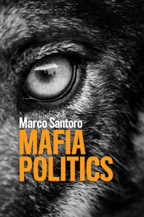 Cover image for book Mafia Politics