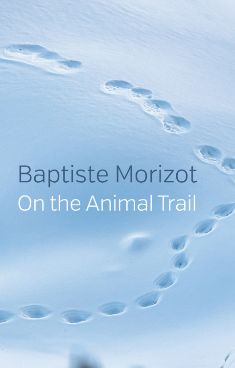 Cover image for book On the Animal Trail
