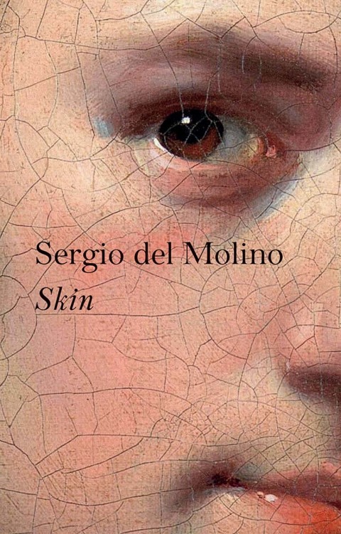 Cover image for book Skin
