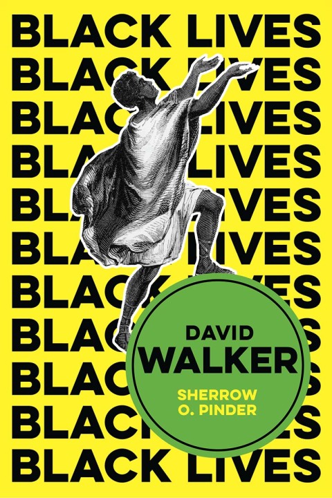 Cover image for book David Walker