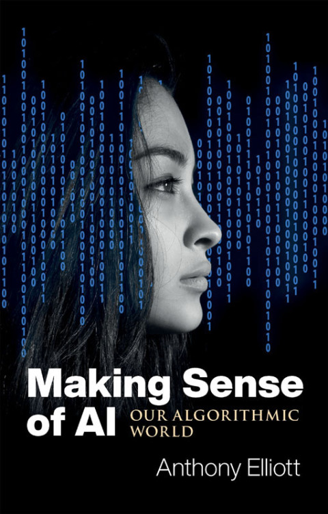 Cover image for book Making Sense of AI