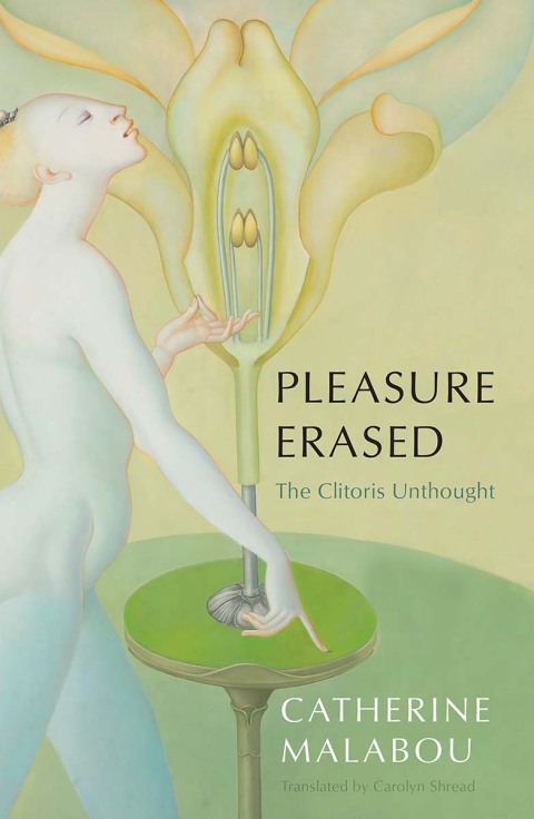 Cover image for book Pleasure Erased