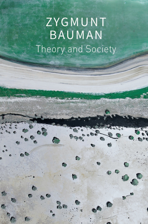 Cover image for book Theory and Society