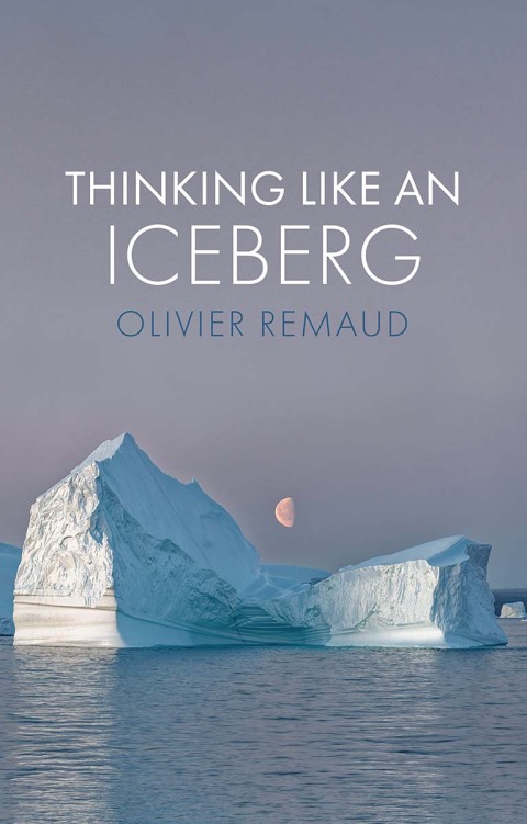 Cover image for book Thinking Like an Iceberg