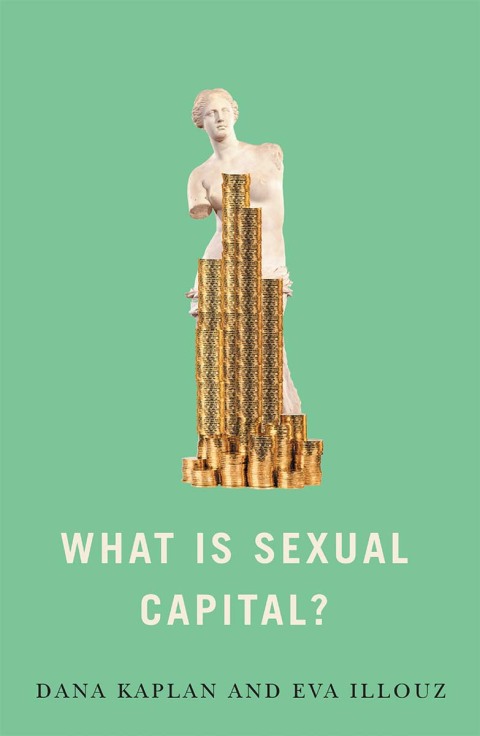Cover image for book What is Sexual Capital?