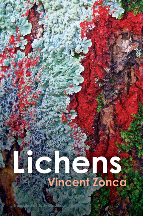 Cover image for book Lichens