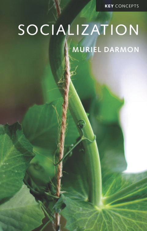 Cover image for book Socialization