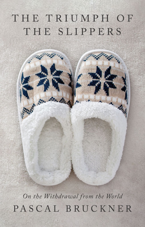 Cover image for book The Triumph of the Slippers