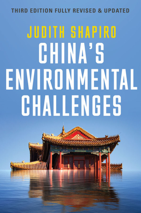 Cover image for book China's Environmental Challenges
