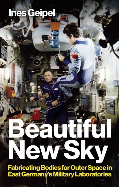 Cover image for book Beautiful New Sky