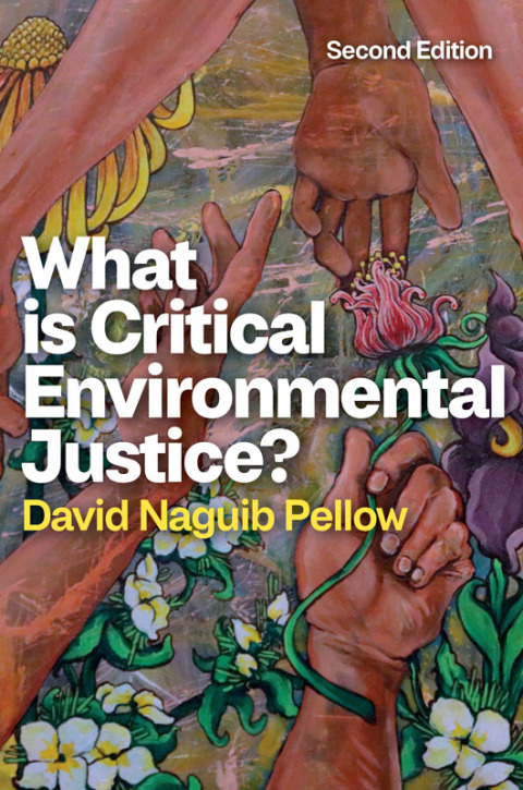 Cover image for book What is Critical Environmental Justice?