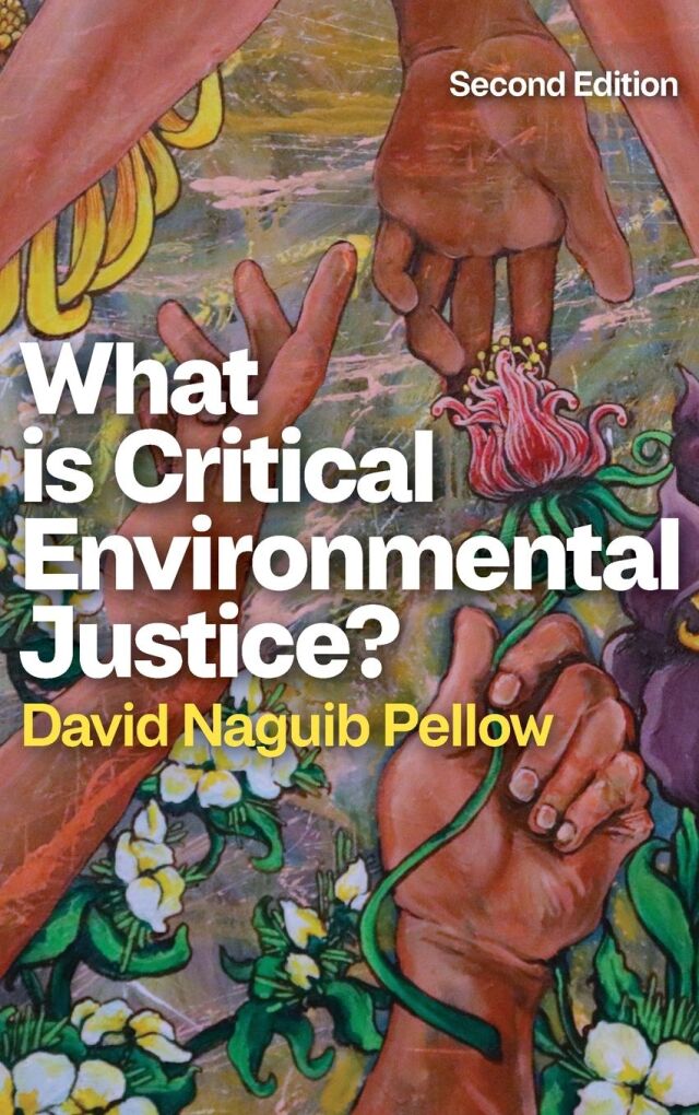 What is Critical Environmental Justice?