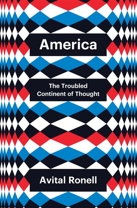 Cover image for book America