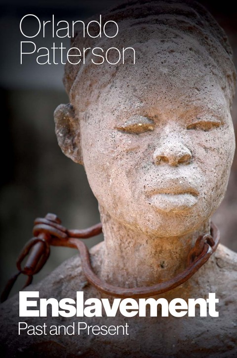 Cover image for book Enslavement