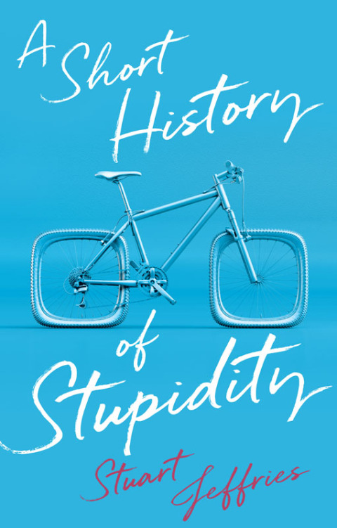 Cover image for book A Short History of Stupidity