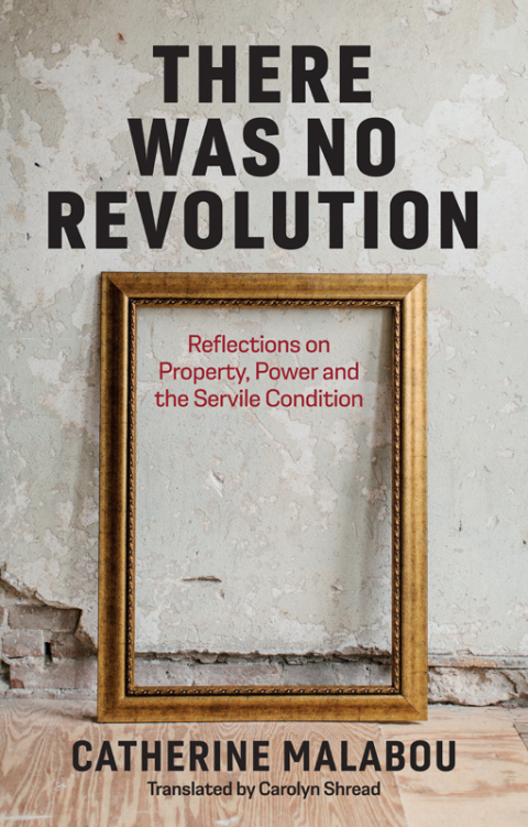 Cover image for book There Was No Revolution