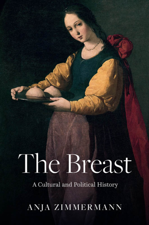 Cover image for book The Breast