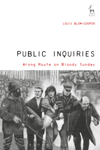 Cover image: Public Inquiries 1st edition 9781509906789