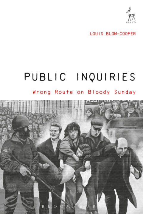 Cover image for book Public Inquiries