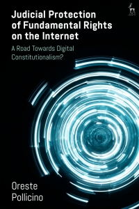 Cover image: Judicial Protection of Fundamental Rights on the Internet 1st edition 9781849468053