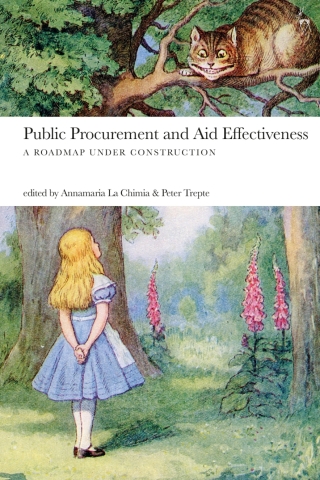 Public Procurement and Aid Effectiveness