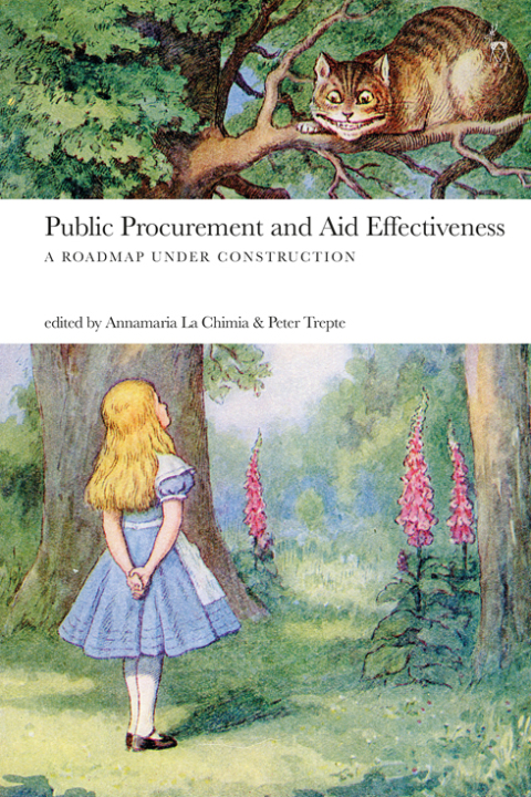 Cover image for book Public Procurement and Aid Effectiveness