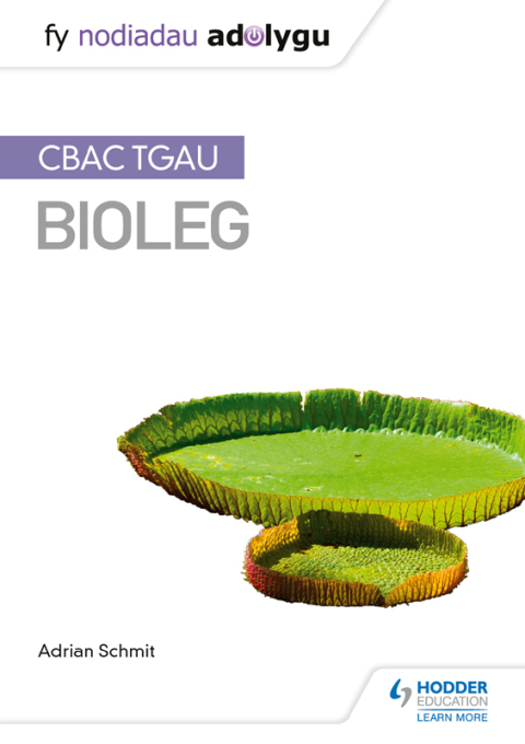 Cover image for book My Revision Notes: WJEC GCSE Biology