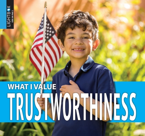 Cover image for book Trustworthiness