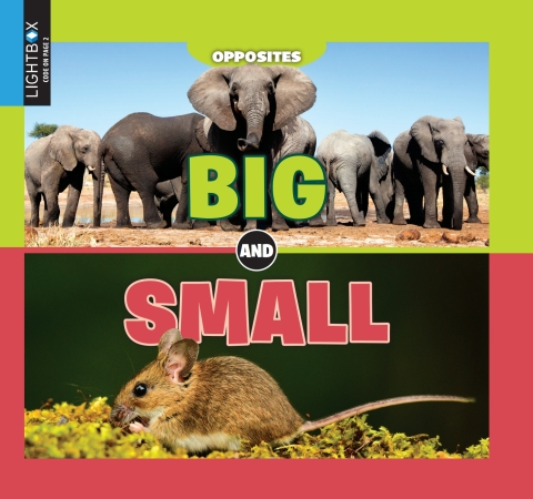 Cover image for book Big and Small