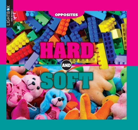 Cover image for book Hard and Soft