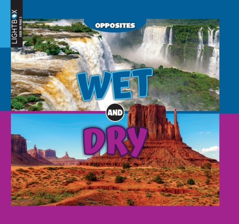 Cover image for book Wet and Dry