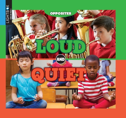 Cover image for book Loud and Quiet
