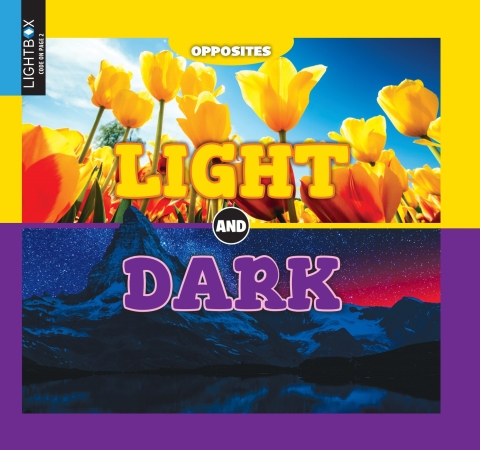 Cover image for book Light and Dark