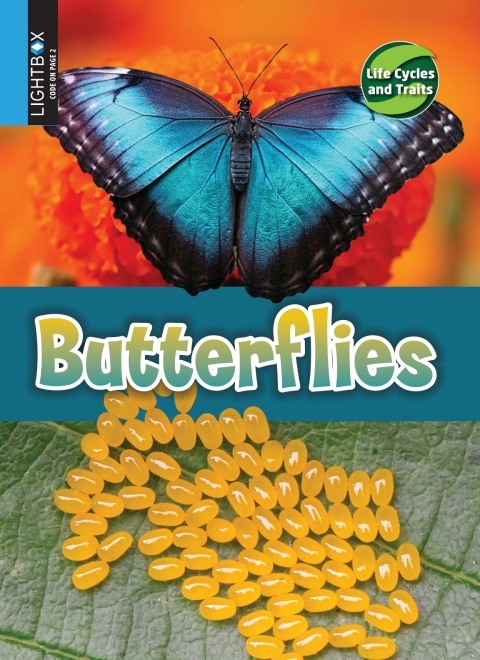 Cover image for book Butterflies