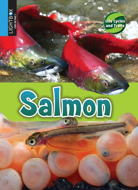 Cover image for book Salmon